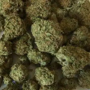 Buy Critical Mass weed online