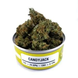 Buy Space Monkey Meds – Candy Jack