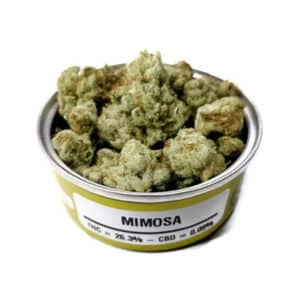 Buy Space Monkey Meds Mimosa