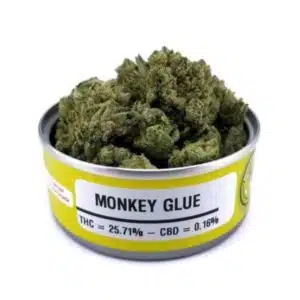 Buy Space Monkey Meds Monkey Glue Graphics