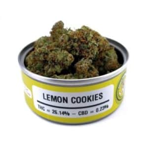 Space Monkey Meds Lemon Cookies GRAPHICS