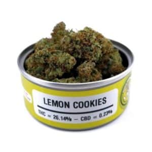 Space Monkey Meds Lemon Cookies GRAPHICS