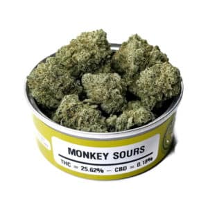 Buy Space Monkey Meds Monkey Sours