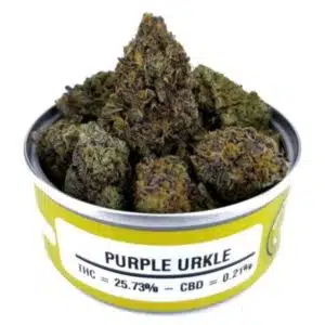 Buy Space Monkey Meds Purple Urkle