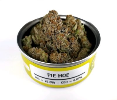 Space Monkey Meds Pie-Hoe For Sale