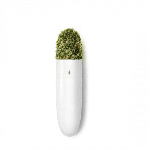 Buy Bloom Live Surf Disposable | Lemon Mojito (Sativa) disposable vape : Make morning Bloom Live Surf Disposable | Lemon Mojito (Sativa) thing. Bloom Live Surf Disposable | Lemon Mojito (Sativa) is a strain loved by many for its rich, citrus terpenes and uplifting buzz. The tastiest way to fuel your day is now available at your fingertips. The Bloom Surf intakes more oil per pull, resulting in bigger clouds with more flavor and potency in every puff. The triple airflow reduces clogging while delivering smooth, clean hits to the very last drop. The Bloom Surf's powerful 190 mAh battery has more capacity than the tank size, ensuring the oil runs out well before the battery. The Surf's ceramic heating elements accent our strain profiles by preventing overheating and cooling quickly. We want you to taste the terpenes, not burn them! Featuring exotic strains chosen for flavor, potency and effect.﻿