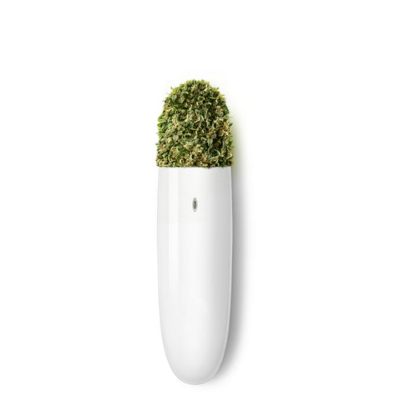 Buy Bloom Live Surf Disposable | Lemon Mojito (Sativa) disposable vape : Make morning Bloom Live Surf Disposable | Lemon Mojito (Sativa) thing. Bloom Live Surf Disposable | Lemon Mojito (Sativa) is a strain loved by many for its rich, citrus terpenes and uplifting buzz. The tastiest way to fuel your day is now available at your fingertips. The Bloom Surf intakes more oil per pull, resulting in bigger clouds with more flavor and potency in every puff. The triple airflow reduces clogging while delivering smooth, clean hits to the very last drop. The Bloom Surf's powerful 190 mAh battery has more capacity than the tank size, ensuring the oil runs out well before the battery. The Surf's ceramic heating elements accent our strain profiles by preventing overheating and cooling quickly. We want you to taste the terpenes, not burn them! Featuring exotic strains chosen for flavor, potency and effect.﻿