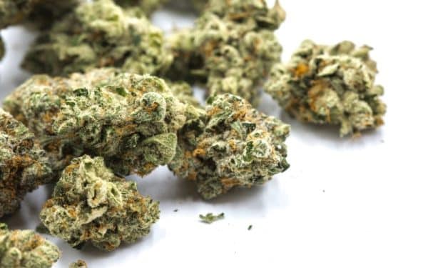 Buy Purple Puch Strain Online - Image 3