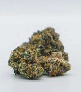 Buy Truffleatti Strain