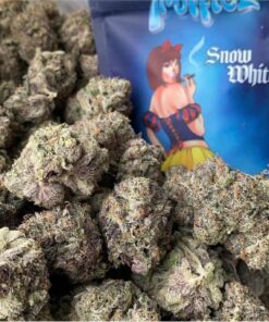 Snow White Truffle Strain